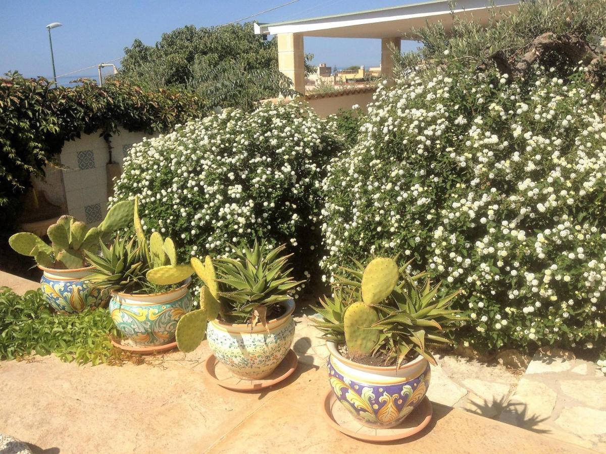 Villa Ceni - Appartamenti Con Camere, Cucina, Wc E Terrazza Sul Mare In Villa Con Piscina, Giardino E Parcheggio 마리넬라 외부 사진