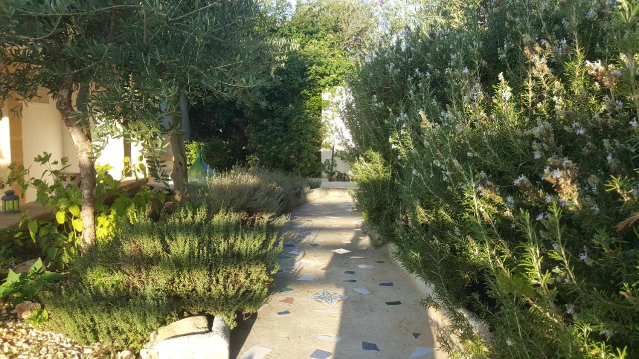 Villa Ceni - Appartamenti Con Camere, Cucina, Wc E Terrazza Sul Mare In Villa Con Piscina, Giardino E Parcheggio 마리넬라 외부 사진