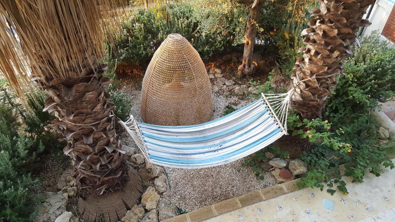 Villa Ceni - Appartamenti Con Camere, Cucina, Wc E Terrazza Sul Mare In Villa Con Piscina, Giardino E Parcheggio 마리넬라 외부 사진